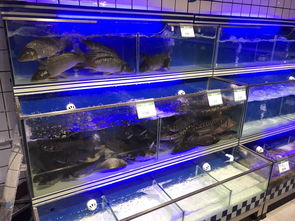 日日生鮮生活超市盛大開業，一站式購齊您的日用百貨